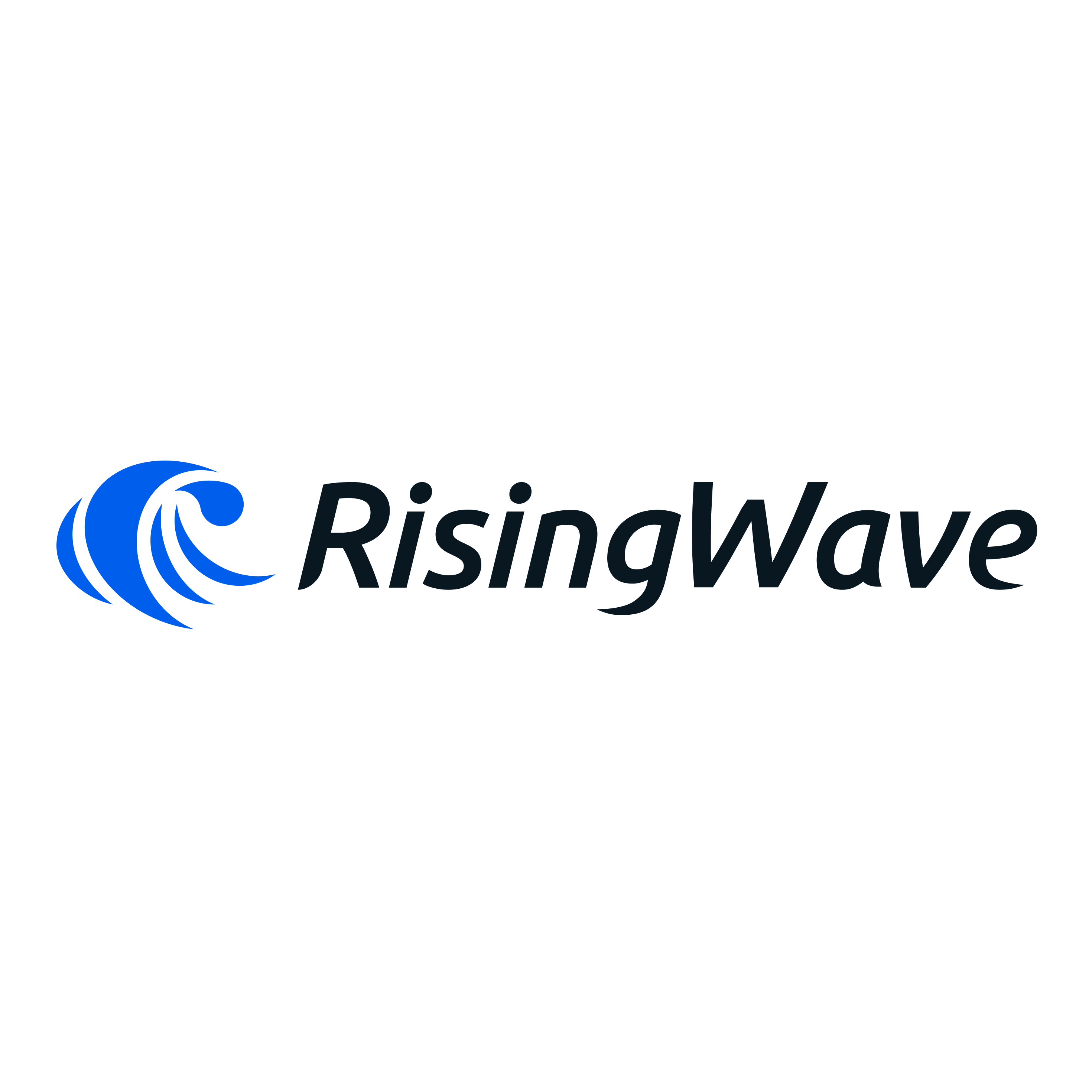 RisingWave
